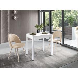 Орфей-42.6 (01) Белый шпон/Белый Стол обеденный 820(1220)х600х750