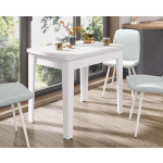 Орфей-24.4 (01) Белый шпон Стол обеденный 920(1240)х620(920)х770